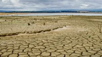 الأردنيون.. أداء صلاة الاستسقاء يعكس شدة تأخر الأمطار